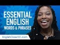 Essential English Words and Phrases to Sound Like a Native