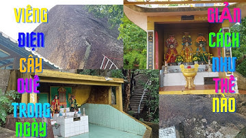 VIẾNG ĐIỆN CÂY QUẾ TRONG NGÀY GIẢN CÁCH NHƯ THẾ NÀO