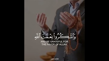 فكلوا مما رزقكم الله حلالاً طيبا 🌱🌿🤍 تلاوة خاشعة 🌼