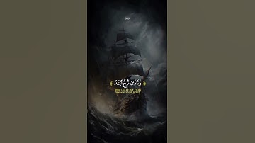 #الله #اكسبلور #explore #لايك #الصلاه #قرآن #المنشاوي_الباكي #المنشاوي_رحمه_الله #تلاوة_خاشعة #fyp