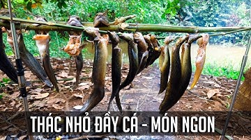 CÂU CÁ SUỐI - CHẠCH LẤU Ở THÁC NHỎ VÀ MÓN NGON | Câu cá giải trí