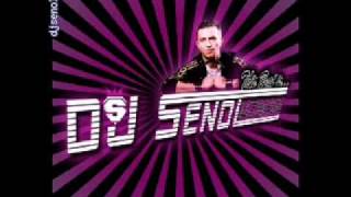 Dj Senol - Fack You Bitch.