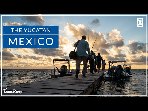 Video: Misterul Humanoidului Yucatan - Vedere Alternativă