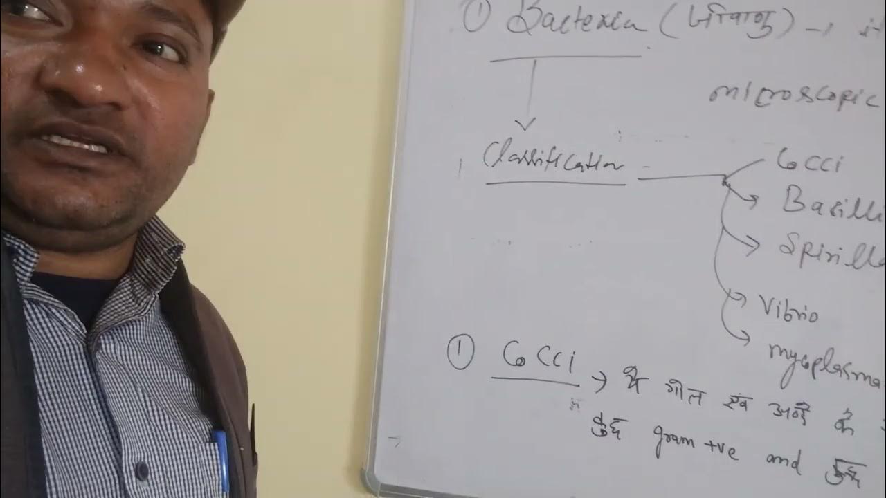 (microbiology)byajay सिर्Bacteria ke prakarshort YouTube