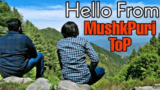 Hello From The Top Of Mushkpuri