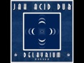 Jah acid dub  the enlightened way in dub delayrium