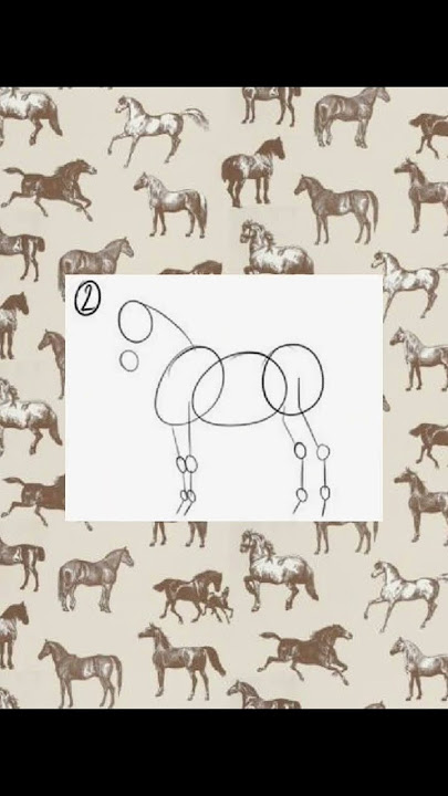 Claro BR © 17:06 PREV TUTORIAL: COMO DESENHAR UM CAVALO PÉROLAS DA INTERNET  OS RETOQUES