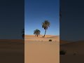 Sahara. Сахара #morocco #desert #марокко #travel #merzouga #sahara #сахара