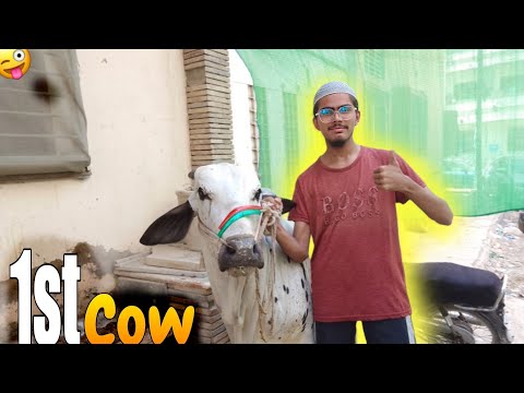 Hamari Building ka 1st janwar agaya 🐮 Or raat me achanak dusra janwar utar giya? 😳