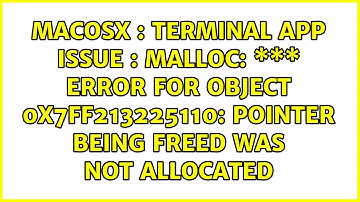 Terminal App Issue : malloc: \*\*\* error for object 0x7ff213225110: pointer being freed was not...