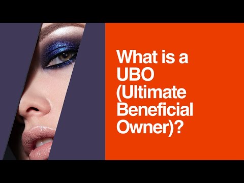 [228] What is a UBO (Ultimate Beneficial Owner)?