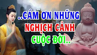 Phật Pháp Hằng Ngày