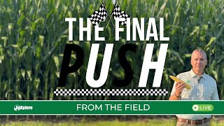 Finishing Strong: Late-Season Potassium & Boron Strategies to Maximize Yield and Test Weight