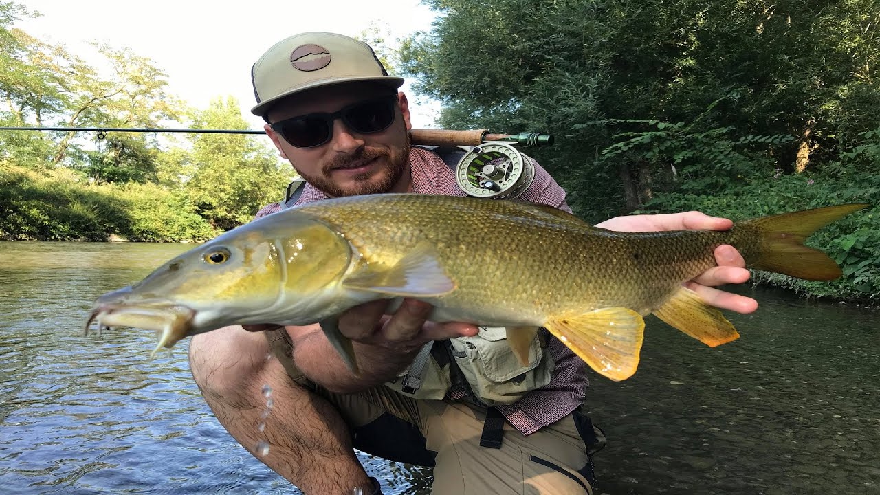 Barbel fly fishing in France YouTube