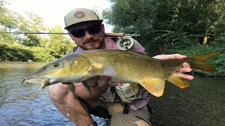 Barbel fly fishing in France