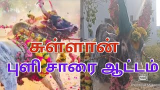 சுள்ளான் #வெறித்தனம் #ஆட்டம்#களம்#2023#viral# #jallikattu#google#video#kangeyam@vetrikaalaiuyir143