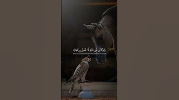 سوره العنكبوت.القارئ:عبد الرحمن مسعد#عبدالرحمن_مسعد #عبدالرحمن_مسعد #سورة_العنكبوت #quran #fypシ