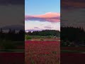#shorts#ytshorts#youtubeshort#trending#viral#nature#naturephotograpy#naturelovers