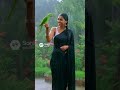 They are Enjoying in the Rain   #funnyparrot #talkingparot #parrotbanters