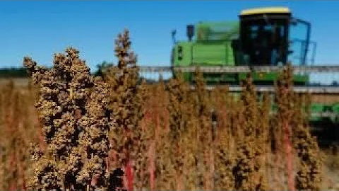 Montana farmer on Trump’s trade tariffs