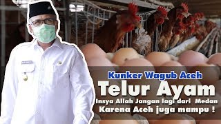 Kunker Wagub Nova ke Aceh Besar dan Banda Aceh