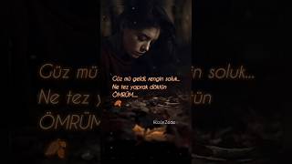 🍂 Ömrüm - Güz Mü Geldi Rengin Soluk - Anatolian Rock Cover