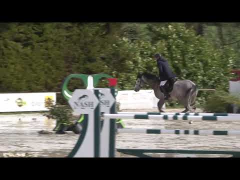 HOPTUM DE L'ABBAYE sans fautes lors du Grand Prix Top 7 d’Auvers