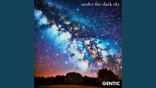 Under the Dark Sky