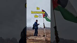 Dromomania, La Adicción A Viajar