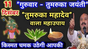 11 दिसंबर गुरुवार तुमरुका जयंती उपाय | तुमरुका महादेव वाला महाउपाय | pradeep mishra guruwar ke upay