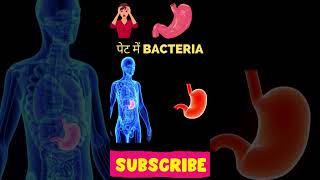 पेट में bacteria??|Top Facts?‍️|#shorts #ytshorts #randomfacts #gk