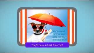 Panama City Beach pet sitters Phone 954-815-7533