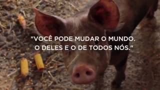 Presunto de Natal - vídeo da Mercy for Animals Brasil