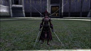 Lineage 2 Transformations
