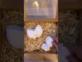 Small handmade plaster pieces for home decor