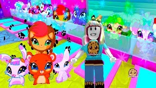 Adopting The Cutest Pets Ever! - Being A Mermaid In  Enchantix High School Roblox Game screenshot 5