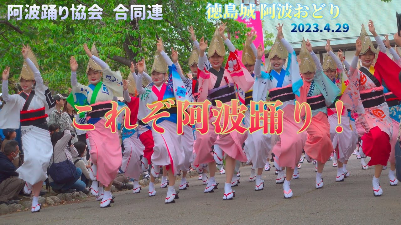 徳島県阿波踊り協会合同・徳島城阿波おどり】総踊り 2023年4月29