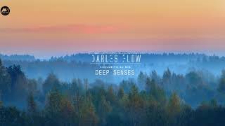 Darles Flow - Deep Senses | Deep Atmospheric House Mix 2021 |