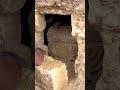 gold #trending #viral #youtubeshorts #shortsfeed #youtubefeed