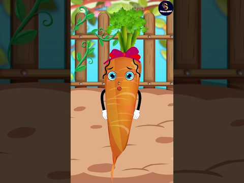 Carrot C-Section -