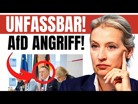 🚨 AfD-VERBOT im
