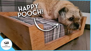 Build a Wooden Dog Bed and let your Dog Relax in Style