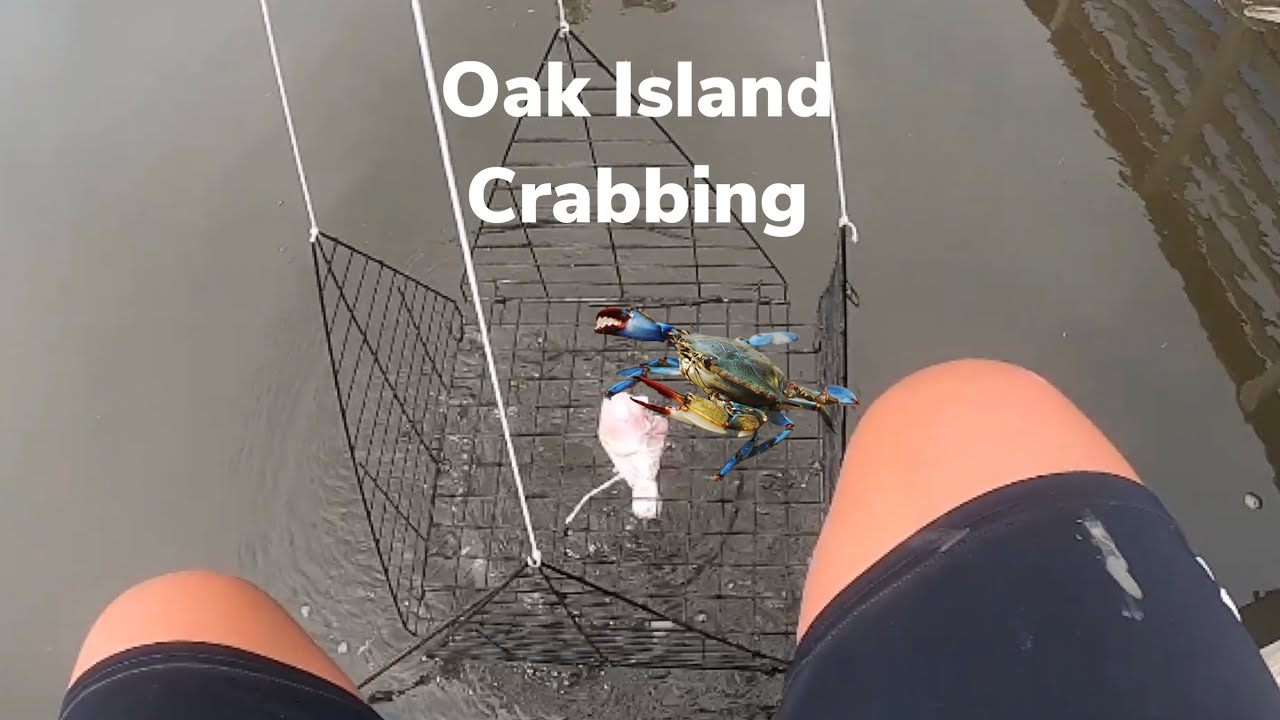 Crabbing at Oak Island, NC YouTube
