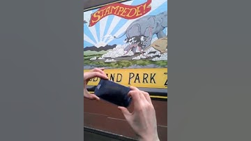 Submitting a Photo to Ingress.mp4