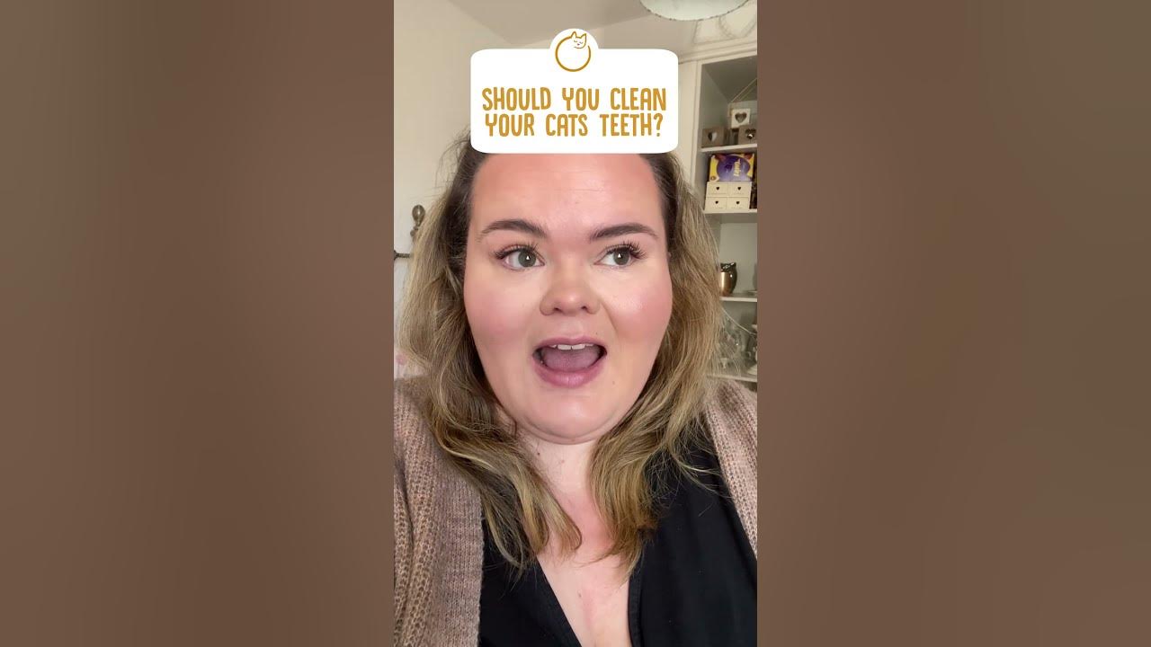 should-you-be-brushing-your-cats-teeth-cathealth-cats-kitten