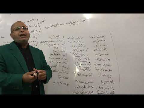 نص سليمان والحمامة