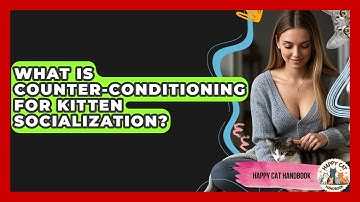 What Is Counter-conditioning For Kitten Socialization? - Happy Cat Handbook