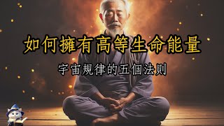 「能量」如何獲得高等生命能量？你必須知道的宇宙能量的規律｜師姐聊智慧「魔法貓艾咪」 by 魔法貓艾咪 3,502 views 3 months ago 11 minutes, 31 seconds