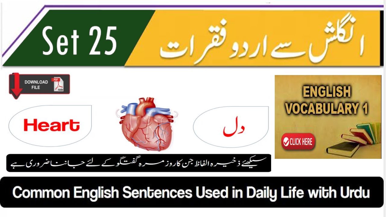 my daily routine essay in urdu