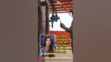 ᴋý Sɪɴʜ ᴛʀùɴɢ ɢɪᴜɴ Xᴏắɴ ăɴ ᴛʜịᴛ ɴɢườɪ đầu Tiên Tại Hoa Kỳ 